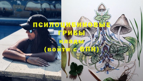 амфетамин Дмитриев