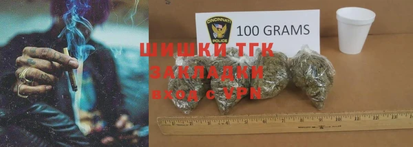 винт Дмитров