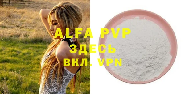 винт Дмитров