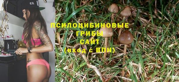 амфетамин Дмитриев